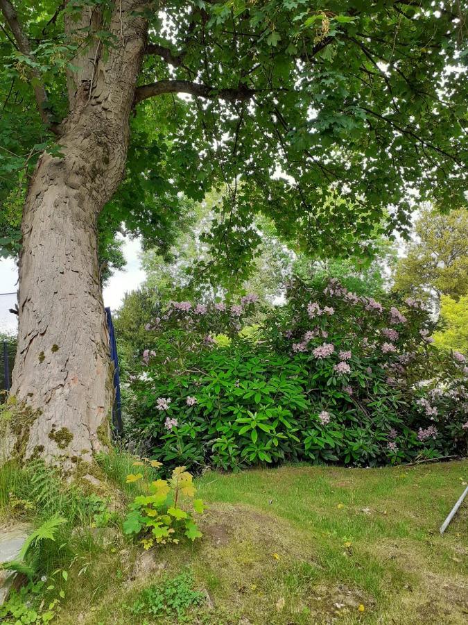 Manoir De L'As De Trefle Bed & Breakfast Isneauville Exterior photo