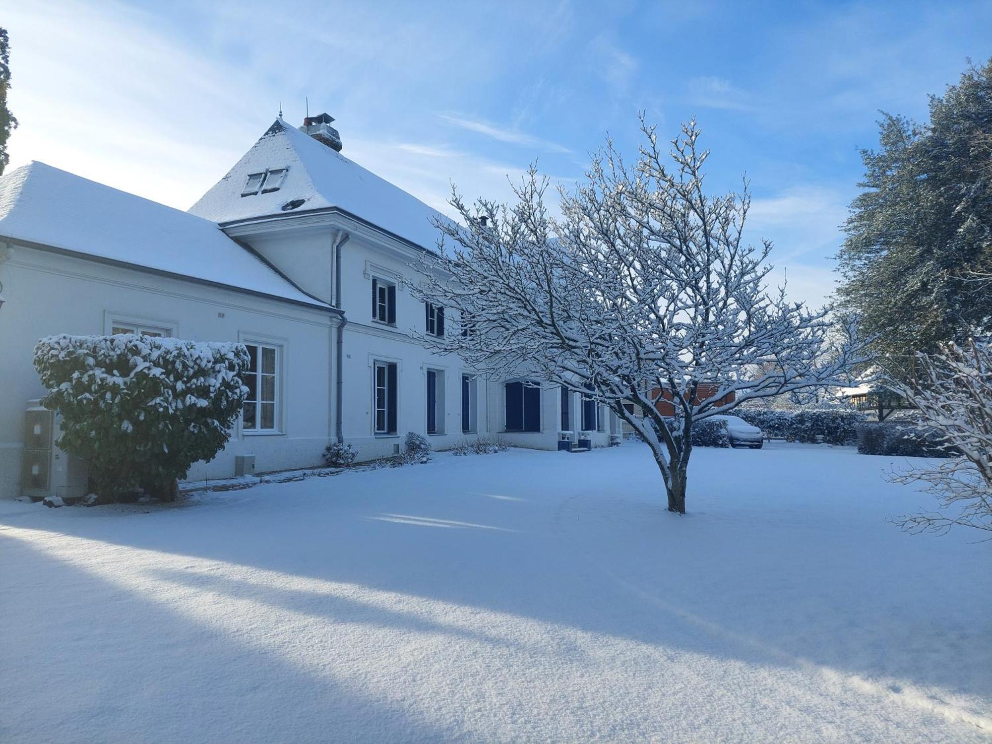 Manoir De L'As De Trefle Bed & Breakfast Isneauville Exterior photo